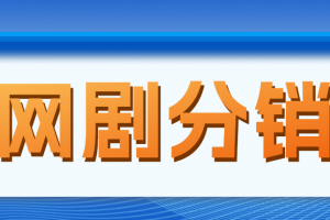 【2023.03.04】网剧分销，新蓝海项目，月入过万很轻松，现在入场是非常好的时机百度网盘免费下载-芽米宝库