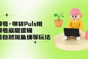 【2023.02.28】视频号·带货Puls班，视频号底层逻辑，起号自然流鱼塘等玩法百度网盘免费下载-芽米宝库