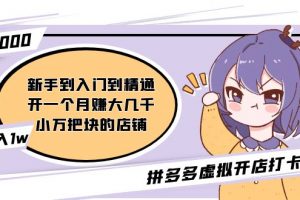 【2023.02.27】拼多多虚拟开店打卡群：入门到精通（昨日群里有小伙伴日入3000+）2月26更新百度网盘免费下载-芽米宝库