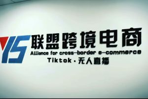 【2023.02.27】Tiktok无人直播，不出镜不剪辑不拍摄不发货无售后的跨境短视频躺赚玩法百度网盘免费下载-芽米宝库