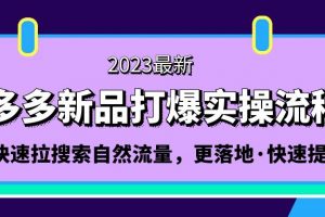 【2023.03.01】拼多多-新品打爆实操流程：轻松快速拉搜索自然流量，更落地·快速提升!百度网盘免费下载-芽米宝库