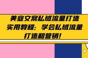 【2023.02.25】美业文案私域流量打造实用教程：学会私域流量打造和营销！百度网盘免费下载-芽米宝库