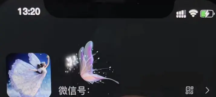 图片[3]-【2023.02.25】微信动态昵称设置方法，可抖音直播引流，日赚上百【详细视频教程+素材】百度网盘免费下载-芽米宝库