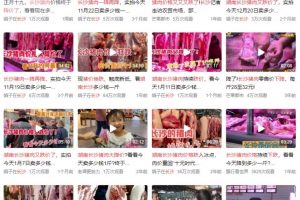 【2023.02.22】用中视频项目拍摄猪肉视频，稳定获得持续收益，轻松赚钱百度网盘免费下载-芽米宝库