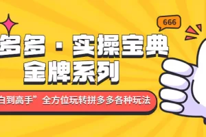 【2023.02.19】拼多多·实操宝典：金牌系列“小白到高手”带你全方位玩转拼多多各种玩法百度网盘免费下载-芽米宝库