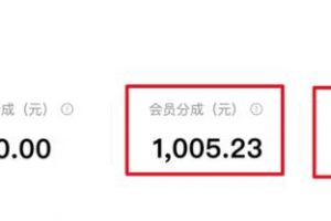 【2023.02.19】无脑搬运百度墨斗鱼知识店铺，日入300的稳赚野路子百度网盘免费下载-芽米宝库