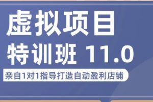 【2023.02.18】陆明明·虚拟项目特训班（10.0+11.0），0成本获取虚拟素材，0基础打造自动盈利店铺百度网盘免费下载-芽米宝库