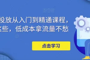 【2023.02.16】万相台投放·新手到精通课程，学会这些，低成本拿流量不愁！百度网盘免费下载-芽米宝库