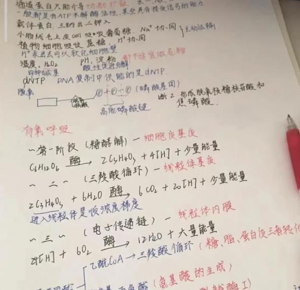 图片[4]-【2023.02.15】日搞300+，空手套白狼！百度网盘免费下载-芽米宝库