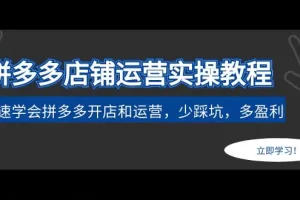 【2023.02.13】拼多多店铺运营实操教程：快速学会拼多多开店和运营，少踩坑，多盈利百度网盘免费下载-芽米宝库