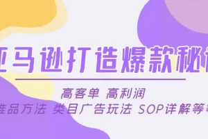 【2023.02.12】亚马逊打造爆款秘诀：高客单 高利润 推品方法 类目广告玩法 SOP详解等等百度网盘免费下载-芽米宝库