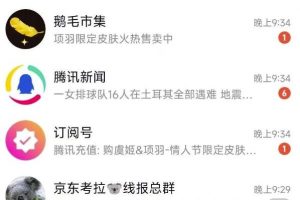 【2023.02.12】QQ小世界最新玩法拆解，任意掌握其中一种玩法，轻松一个月上万+百度网盘免费下载-芽米宝库