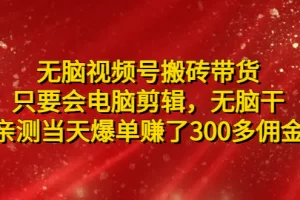 【2023.02.11】无脑视频号搬砖带货，只要会电脑剪辑，无脑干，亲测当天爆单赚了300多佣金百度网盘免费下载-芽米宝库