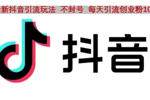 【2023.02.09】抖音语音交流引流创业粉玩法，流量爆炸，一天创业粉100+百度网盘免费下载-芽米宝库