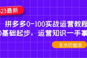 【2023.02.08】2023拼多多0-100实战运营教程，0基础起步，运营知识一手掌握百度网盘免费下载-芽米宝库