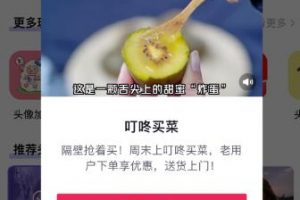 【2023.02.08】Ai视频被动收入项目分享，自由职业者的天堂！百度网盘免费下载-芽米宝库