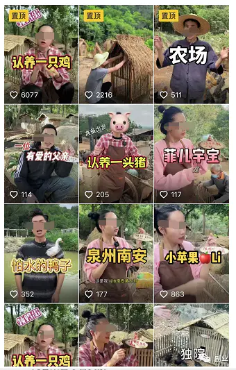 图片[4]-【2023.02.02】县城闷声发财小生意，一单能赚100多，月入过万百度网盘免费下载-芽米宝库