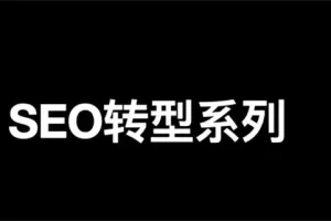 【2023.01.23】SEO转型系列之十二，SEO如何转行私域流量运营？百度网盘免费下载-芽米宝库