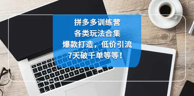 图片[1]-【2023.01.13】拼多多训练营：各玩法合集，爆款打造，低价引流，7天破千单等等！百度网盘免费下载-芽米宝库