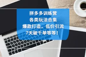 【2023.01.13】拼多多训练营：各玩法合集，爆款打造，低价引流，7天破千单等等！百度网盘免费下载-芽米宝库