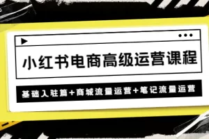 【2023.01.05】小红书电商高级运营课程：基础入驻篇+商城流量运营+笔记流量运营百度网盘免费下载-芽米宝库