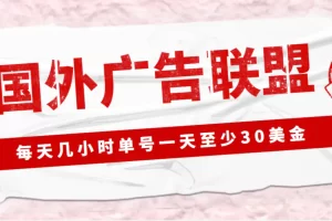 【2023.01.08】外面收费1980最新国外LEAD广告联盟搬砖项目，单号一天至少30美金(详细教程)百度网盘免费下载-芽米宝库