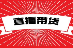 【2023.01.03】临期食品生意的玩法百度网盘免费下载-芽米宝库