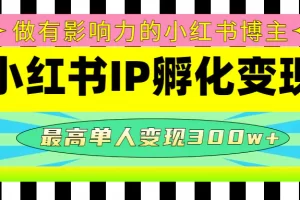 【2022.12.31】某收费培训-小红书IP孵化变现：做有影响力的小红书博主，最高单人变现300w+百度网盘免费下载-芽米宝库