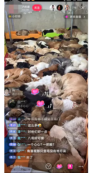 图片[1]-【2022.12.30】揭秘个月入10000的暴利赚钱野路子百度网盘免费下载-芽米宝库