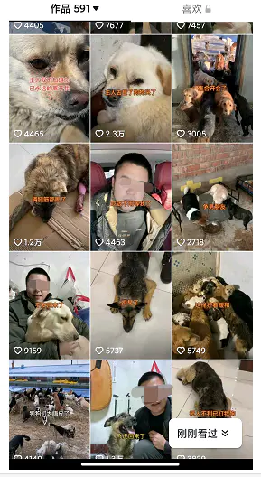 图片[3]-【2022.12.30】揭秘个月入10000的暴利赚钱野路子百度网盘免费下载-芽米宝库