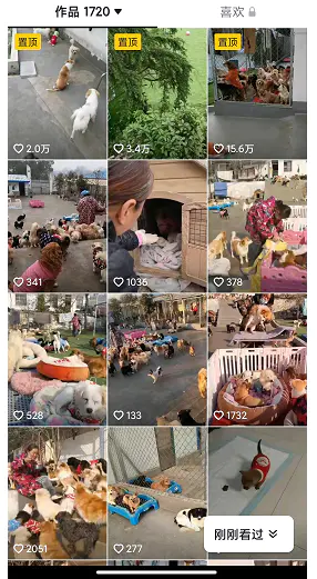 图片[4]-【2022.12.30】揭秘个月入10000的暴利赚钱野路子百度网盘免费下载-芽米宝库