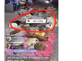【2022.12.30】揭秘个月入10000的暴利赚钱野路子百度网盘免费下载-芽米宝库
