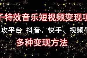 【2022.12.28】《粒子特效音乐短视频变现项目》主攻平台 抖音、快手、视频号 多种变现方法百度网盘免费下载-芽米宝库