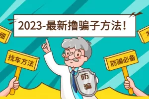 【2022.12.26】最新反撸骗子方法日赚200+【13个超详细找车方法+发车渠道】视频教程+文档百度网盘免费下载-芽米宝库