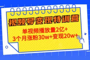 【2022.12.07】20天视频号变现特训营：单视频播放量2亿+3个月涨粉30w+变现20w+百度网盘免费下载-芽米宝库