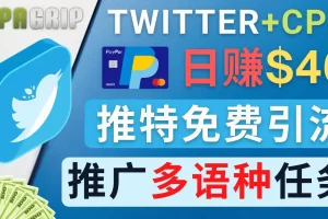 【2022.12.06】通过Twitter推广CPA Leads，日赚46.01美元 – 免费的CPA联盟推广模式百度网盘免费下载-芽米宝库