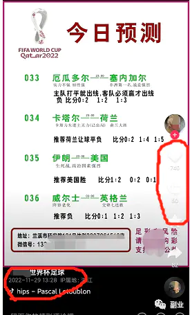图片[10]-【2022.12.01】如何在世界杯期间赚到钱？百度网盘免费下载-芽米宝库
