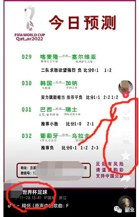 图片[11]-【2022.12.01】如何在世界杯期间赚到钱？百度网盘免费下载-芽米宝库