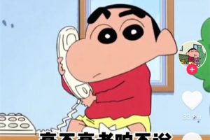 【2022.11.26】如何用10分钟做出一个表情包视频百度网盘免费下载-芽米宝库