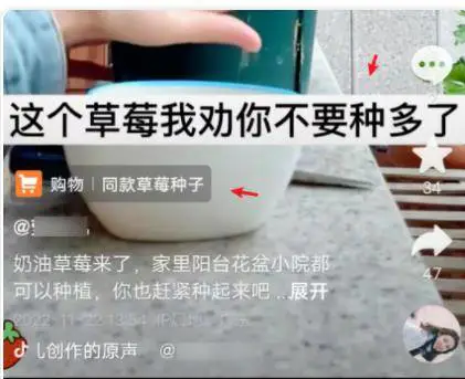 图片[2]-【2022.11.25】做个抖音垂直号，提升赚钱能力的诀窍！百度网盘免费下载-芽米宝库