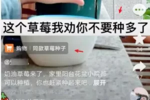 【2022.11.25】做个抖音垂直号，提升赚钱能力的诀窍！百度网盘免费下载-芽米宝库