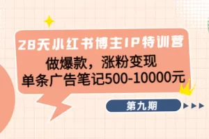 【2022.11.12】28天小红书博主IP特训营《第9期》做爆款，涨粉变现 单条广告笔记500-10000百度网盘免费下载-芽米宝库