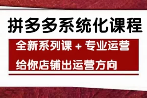 【2022.11.11】车神陪跑，拼多多系统化课程，全新系列课+专业运营给你店铺出运营方向百度网盘免费下载-芽米宝库