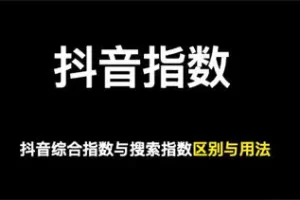 【2022.11.10】做抖音关键词综合排名，综合指数与搜索指数以哪个为准百度网盘免费下载-芽米宝库