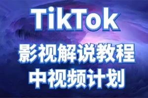 【2022.11.08】外面收费2980元的TikTok影视解说、中视频教程，比国内的中视频计划收益高百度网盘免费下载-芽米宝库