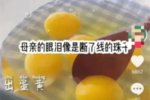 【2022.11.08】可批量操作的小说推文项目，长期稳定月入过万百度网盘免费下载-芽米宝库