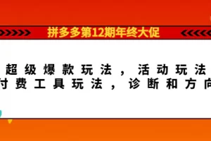 【2022.11.07】拼多多第12期年终大促：超级爆款玩法，活动玩法，付费工具玩法，诊断和方向百度网盘免费下载-芽米宝库