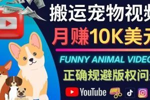 【2022.11.07】搬运TIKTOK视频到YouTube，并进行二次创作，月赚1万美元以上百度网盘免费下载-芽米宝库
