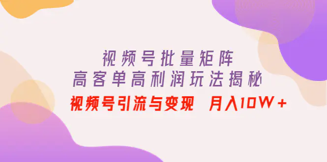 图片[1]-【2022.11.04】视频号批量矩阵的高客单高利润玩法揭秘： 视频号引流与变现 月入10W+百度网盘免费下载-芽米宝库