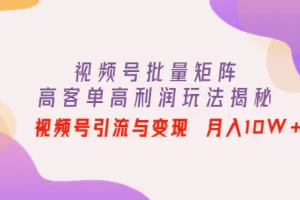 【2022.11.04】视频号批量矩阵的高客单高利润玩法揭秘： 视频号引流与变现 月入10W+百度网盘免费下载-芽米宝库